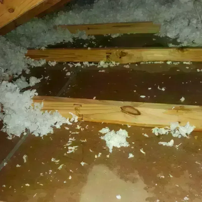 Attic Water Damage in Normandy, MO