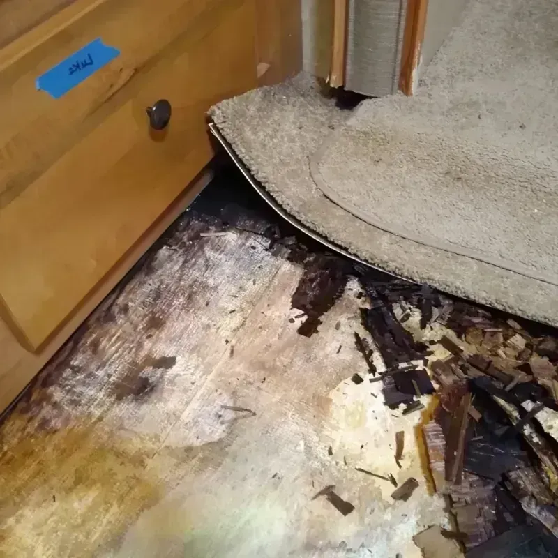 Wood Floor Water Damage in Normandy, MO